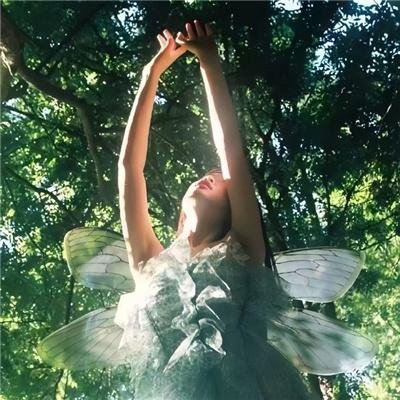 食草老龙被冠以恶龙之名第二季